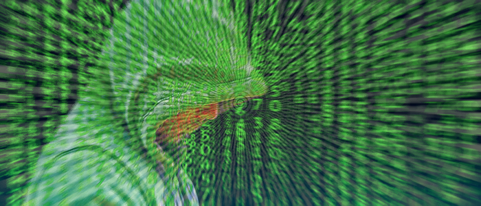 Reati informatici +18,4%